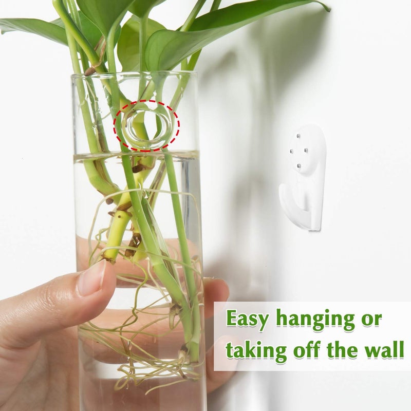 Vumdua 4 Pack Glass Planters  Clear  5.9 in H x 1.85 in D  Suitable for Most Water Plants  Perfect for DIY Propagation Station  Easy to Install  Elegant and Functional - Image 5